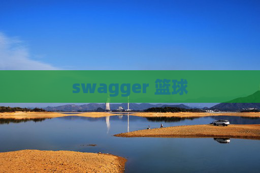 swagger 篮球